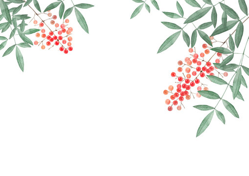 500 Best 南天の実 Images Stock Photos Vectors Adobe Stock 500 Best 南天の実 Images Stock Photos Vectors Adobe Stock