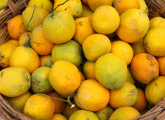 Fresh oranges on the counter in the market