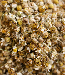 Dried flowers for tea on the counter in the market