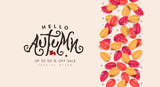Autumn sale background layout decorate with leaves for shopping sale or promo poster and frame leaflet or web banner.Vector illustration template.