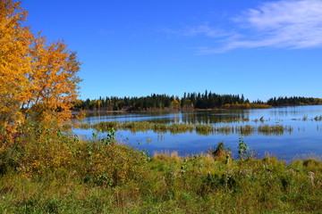 Fototapeta na wymiar Astotin Lake in Autumn Colours