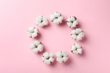Flat lay composition with cotton flowers on pink background. Space for text