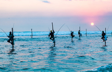 stilt fishermen at sunset in Sri Lanka
