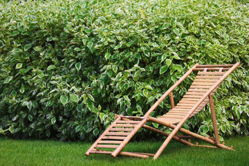 Wooden deck chair in beautiful garden on sunny day. Space for text