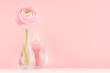Fresh lovely spring ranunculus in delicate vase in gentle sweet soft light pink color decor for home interior.