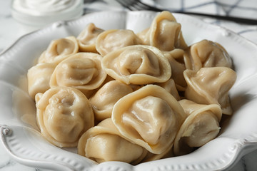 Tasty dumplings in ceramic plate, closeup view