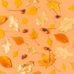Autumn leaves on a pastel background