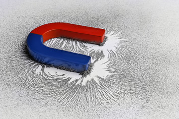 Red and blue horseshoe magnet with iron filings on white background