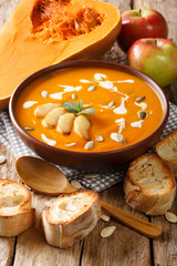 Pumpkin and apple soup with seeds, yogurt surrounded by ingredients close-up. vertical
