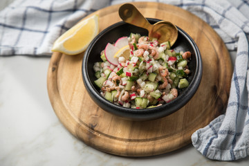 Norddeutscher Friesischer Nordseekrabben Salat in Schale mit Gurken, Radieschen, Zwiebeln, Dill und Zitronen auf Holz Brett