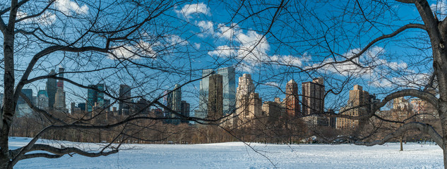 Panorama of Sheep meadow during winter in Central Park, NY