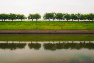 川辺の土手