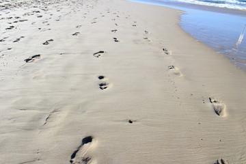footprints in sand