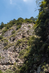 hill top covered by green foliage and rock face filled with grasses under blue sky on a sunny day