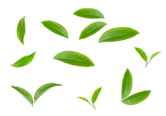 green tea leaf isolated on white background