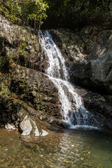 small waterfall in the park flower down the rock face of cascading creek with green foliage near the edge
