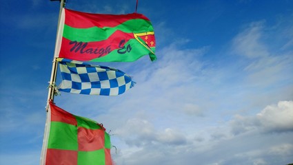Mayo Flag