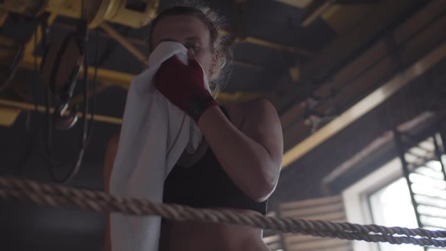 Low angle view of female mixed martial arts fighter punching inside boxing ring then taking white towel from rope, wiping her face and looking at camera