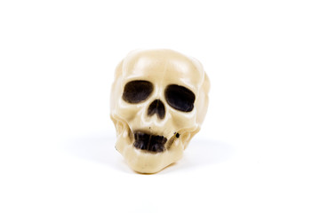 Bone white plastic skull  figures on a blank background