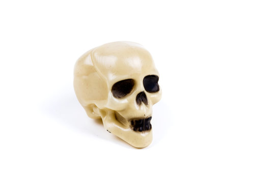 Bone white plastic skull  figures on a blank background