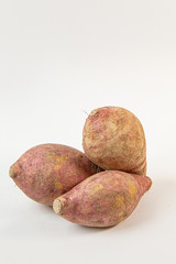 cassava on white background for food concept..