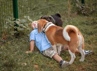 A boy with Down syndrome plays in the playground. Genetic disease in a child. Toddler hugs a dog.