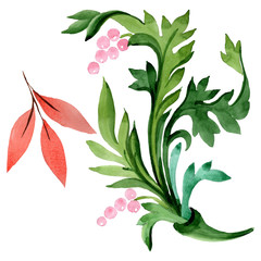 Winter ornament elements. Watercolor background illustration set. Isolated ornament illustration element.