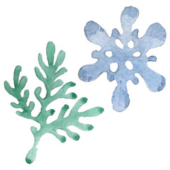 Winter ornament elements. Watercolor background illustration set. Isolated ornament illustration element.