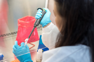 Scientist or lab worker hand in glove using pipette dropper dropping sample to plate of research...