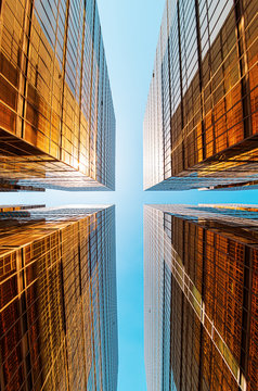 Modern glass skyscrapers perspective in the city