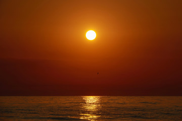 Romantic sunset by a stony seashore. The sun sets over the horizon. The sun beams reflecting in the calm sea waters. Stony shore is washed by the gentle waves. The sky is turning yellow and orange.