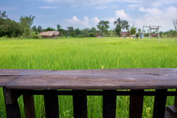 The empty wooden floor with the rice field and sky to background.