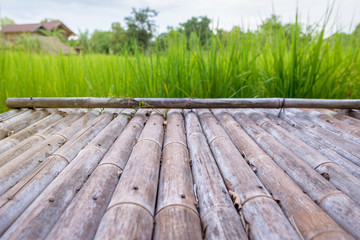 Bamboo flooring is blank, with a backdrop of rice etc.