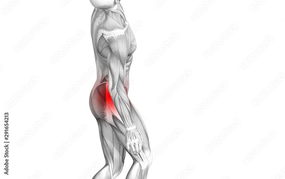 Poster conceptual hip human anatomy with red hot spot inflammation articular joint pain for leg health care