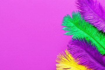 Colorful feathers on color background © Pixel-Shot