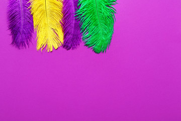 Colorful feathers on color background