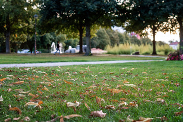 Obraz premium herbst in der stadt