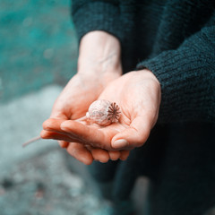 hands holding poopyhead