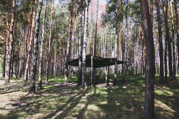 Wooden arbor in pine forest.
