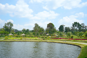 fishing lake with blue sky