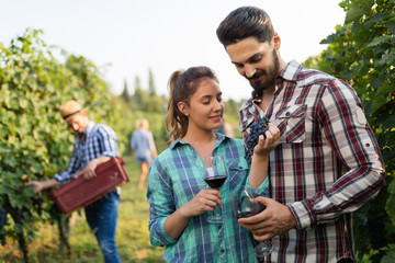 Woman and man in vineyard drinking wine