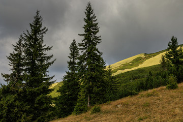 Carpathian mountains around the village of Kolochava, Ukraine.