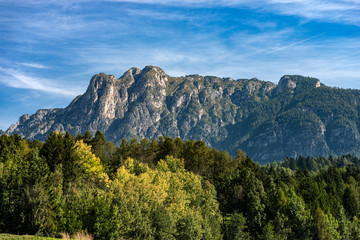 Mount Cornon (2189 m), peak in the Italian Alps, Val di Fiemme and Val di Stava, Cavalese, Trentino Alto Adige, Italy, Europe