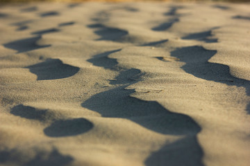 dune