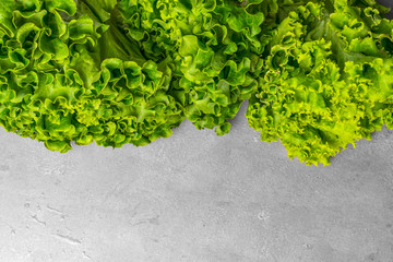 Fresh ripe lettuce on gray background, top viewб сщзн ызфсу