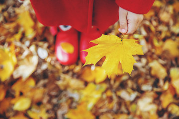 child in a red coat with autumn leaves. Love autumn. Selective focus.
