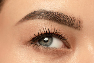 Beautiful young woman's eye close-up shot. Female model with well-kept skin. Perfect skincare,...