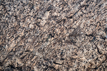 The texture of the stone overgrown with moss. Background image of a boulder
