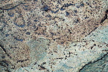 The texture of the stone overgrown with moss. Background image of a boulder