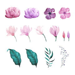 Set of floral watercolor paint
